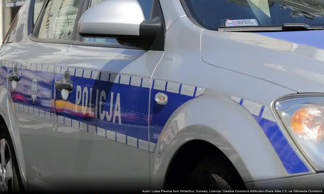 Bezpieczne korzystanie z fajerwerków w noc sylwestrową