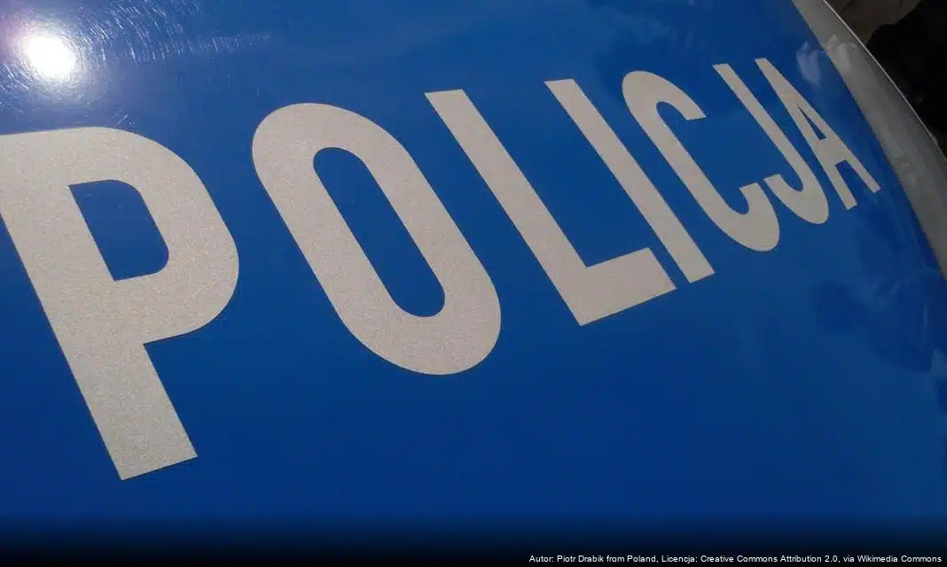 Plebiscyt #SuperDzielnicowy 2026 w Gostyniu – Głosuj na swojego dzielnicowego