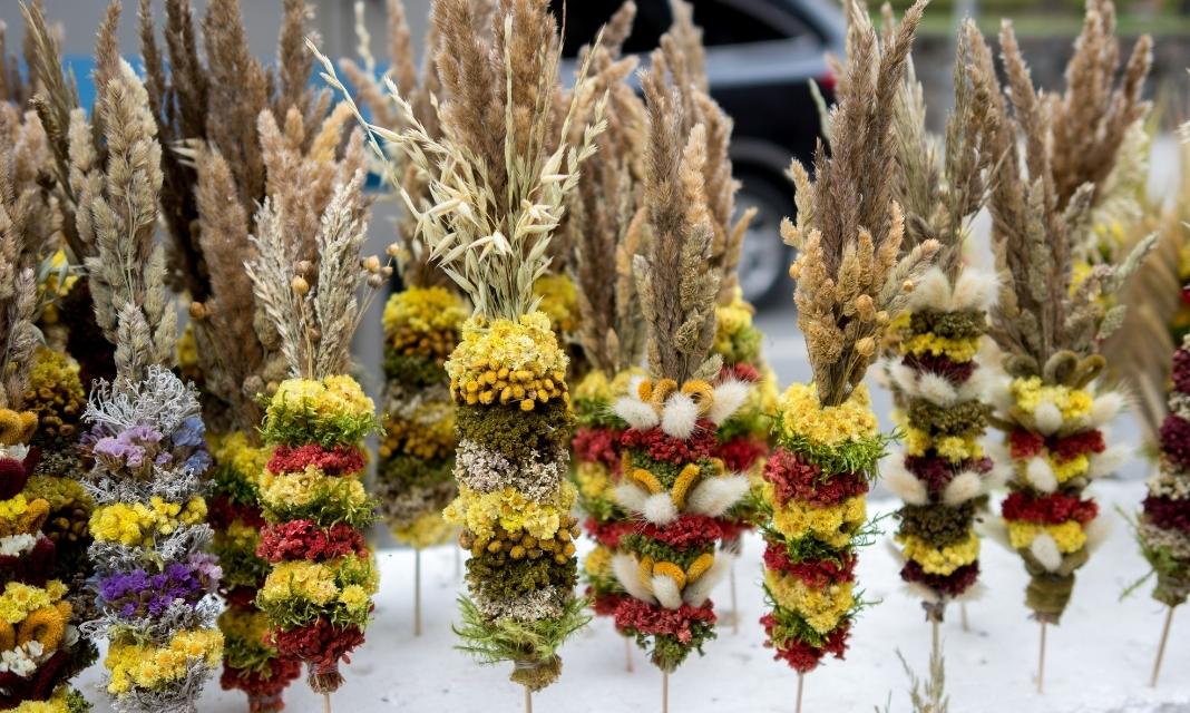 Niedziela Palmowa w Gostyniu: Tradycje i Zwyczaje Mieszkańców